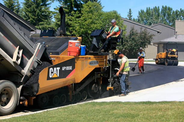 Best Custom Driveway Pavers  in Newport, KY